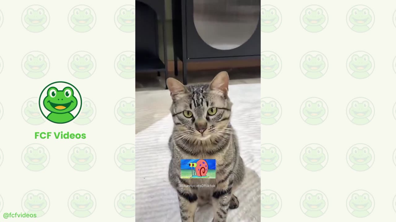 🎥😂 Funny Moments Compilation – Part 3 | by fcfvideos