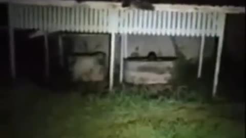 😱👻 Manifested Apparitions Caught on Camera! Creepy Encounters | TheHauntingHour