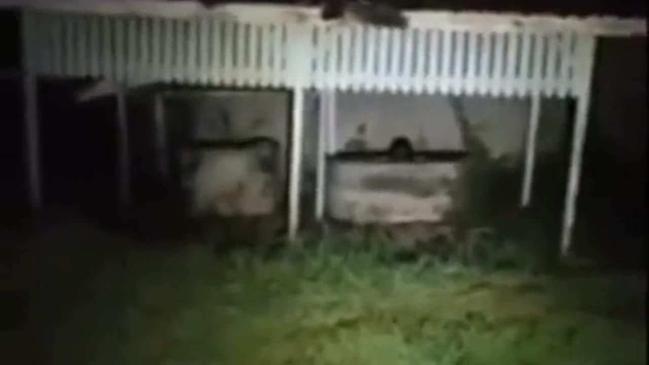 😱👻 Manifested Apparitions Caught on Camera! Creepy Encounters | TheHauntingHour