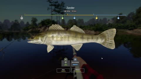 Russian Fishing 4 | Stage 4 Task 1 – Catching Zander on Winding Rivulet | No Talking