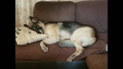 Ellie Memories | Ep100