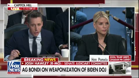 Sen. Josh Hawley goes NUCLEAR on Democrats who claim Biden's DOJ did nothing wrong.