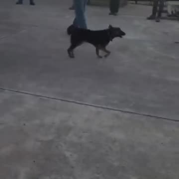 Straight for the family jewels 🤣