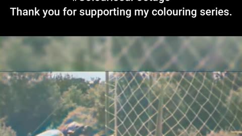 Wind Tunnel Warriors Pilots Practice Emergency Jumps #ColourisedHistory