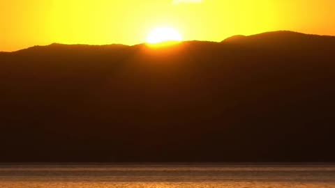 Daily Horoscope | Cancer 🌟