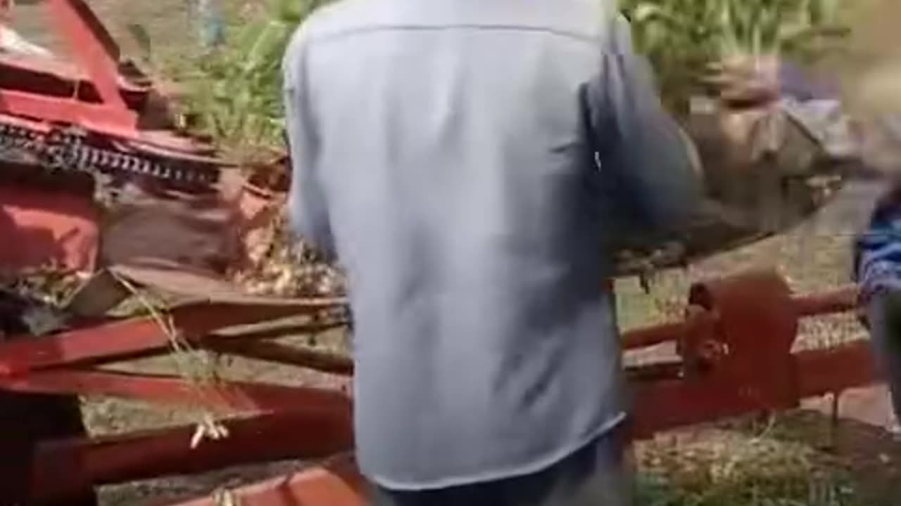 The most modern peanut threshing machine in Vietnam