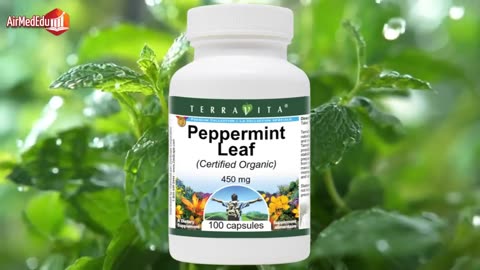 Minzblätter, Wirkung auf bestimmte Organe