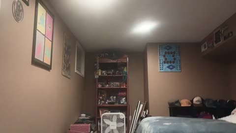 Home Alone 4 Kevin Throws a Tantrum at Walmart and Gets Grounded