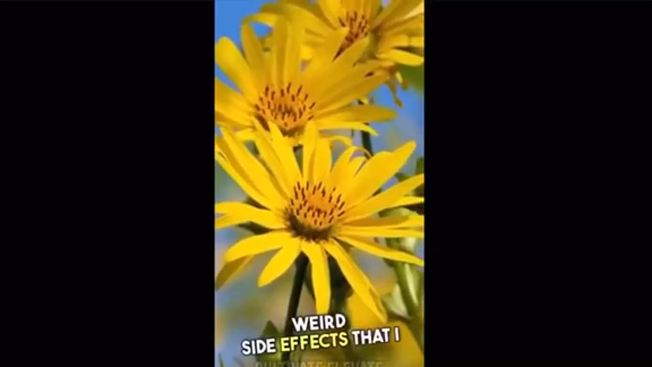 Rockefeller Medicine ..