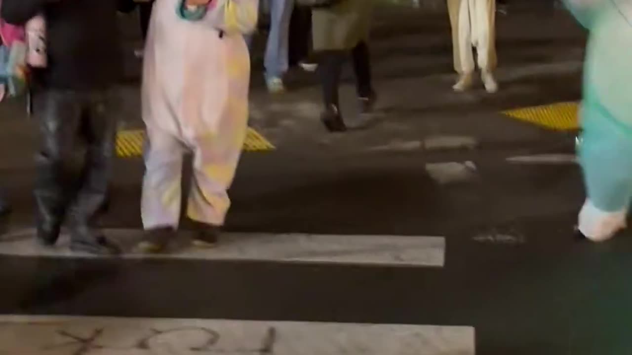 Watch as the antifa bunny runs like she knew where she was going as ice lights her up with lasers