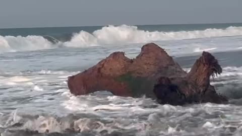 Whimsical Woman Gets Tossed by the Sea