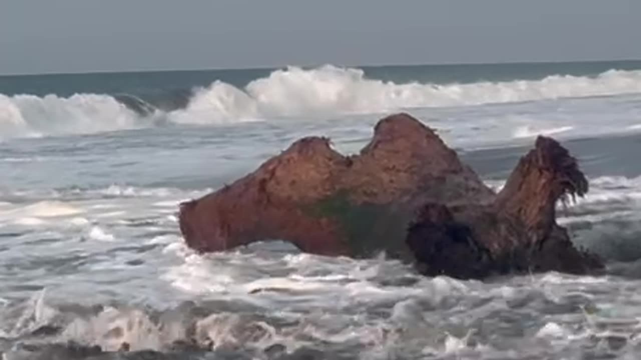 Whimsical Woman Gets Tossed by the Sea