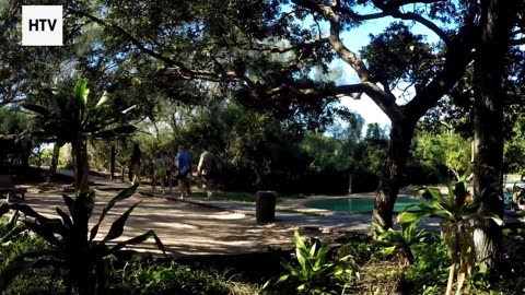 A Journey Above the Blue Planet