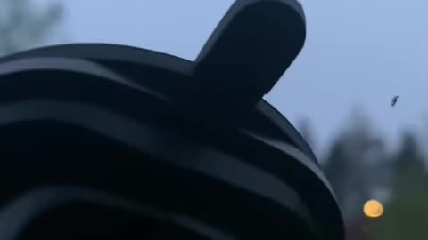 Beethoven Before Jiu Jitsu