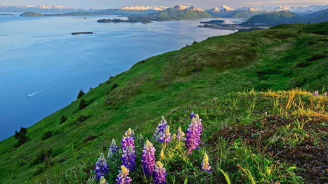 The Massacre of Native Christians