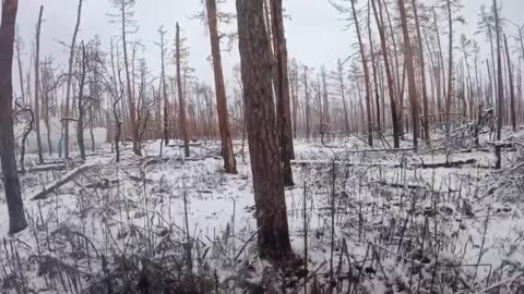 Intense Battles Raging in the Serebryansky Forest