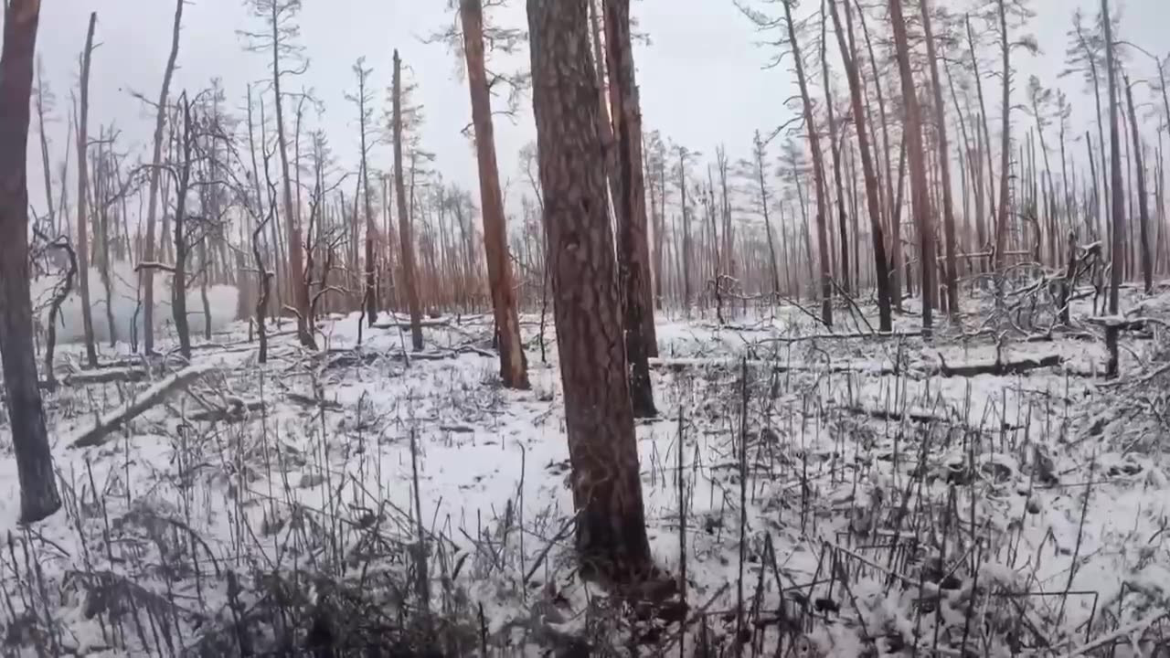 Intense Battles Raging in the Serebryansky Forest