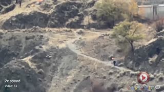 Officers chase down suspected arsonist on Kelowna's Knox Mountain