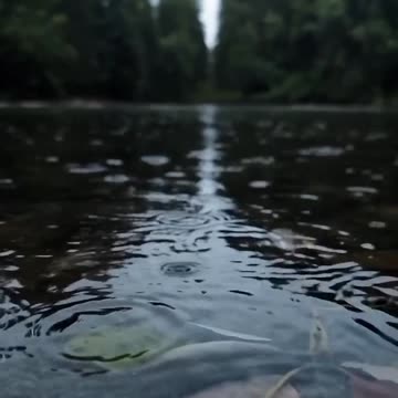 Beautiful nature - cinematic clip