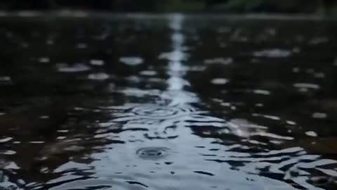 Beautiful nature - cinematic clip