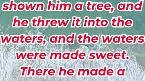 “The Bitter Waters Made Sweet” Exodus 15:23,24,25.#shortvideo #youtubeshorts #ytshorts #youtube #yt