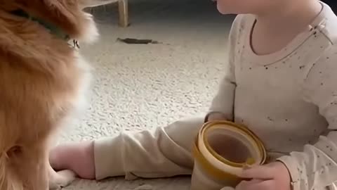 Cute Baby Playing With Animals | Adorable Baby & Pets Moments | Funny Animal Reactions”