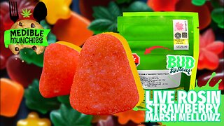 STRAWBERRY MARSH MELLOWZ 🍓 (EDIBLE REVIEW) | MEDIBLE MUNCHIES - BUD LAFLEUR