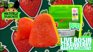 STRAWBERRY MARSH MELLOWZ 🍓 (EDIBLE REVIEW) | MEDIBLE MUNCHIES - BUD LAFLEUR