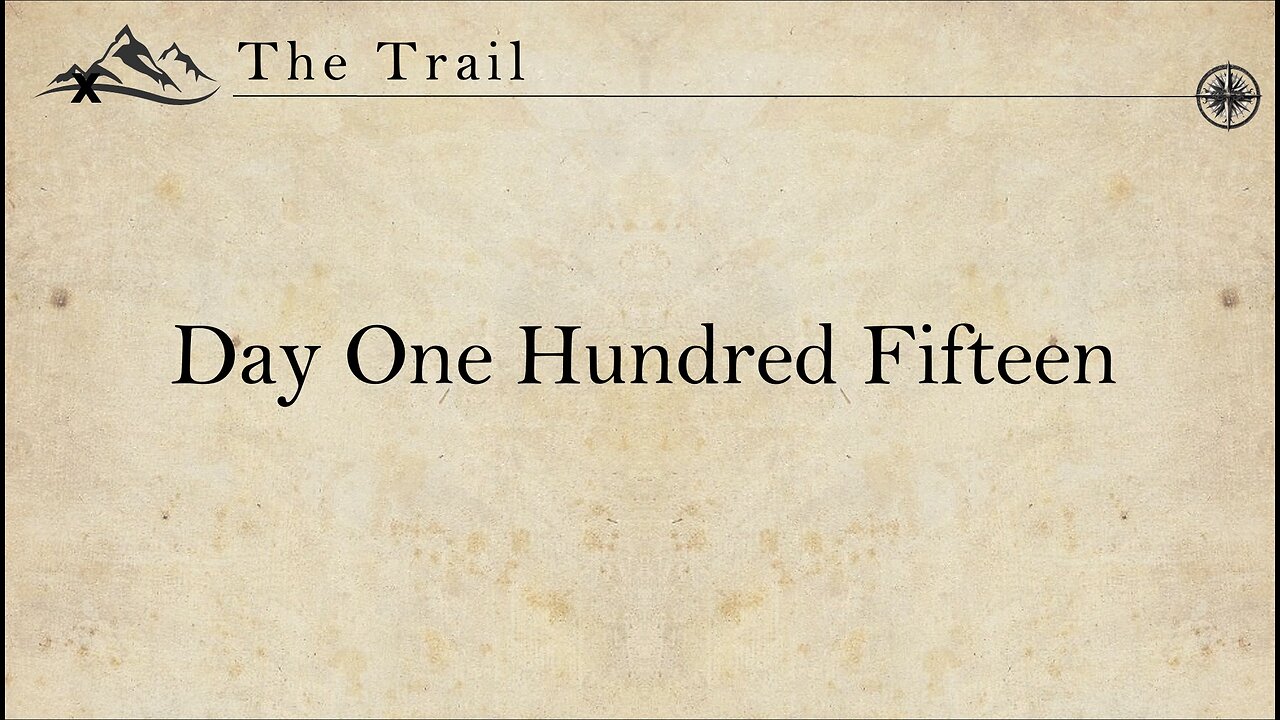 Day 115