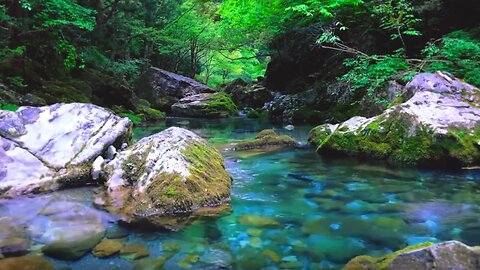 🌊 Crystal Clear River in Forest | Relaxing Water Sounds for Sleep & Meditation