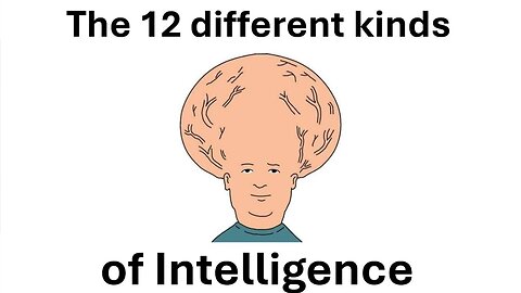 The 12 different kinds of intelligence