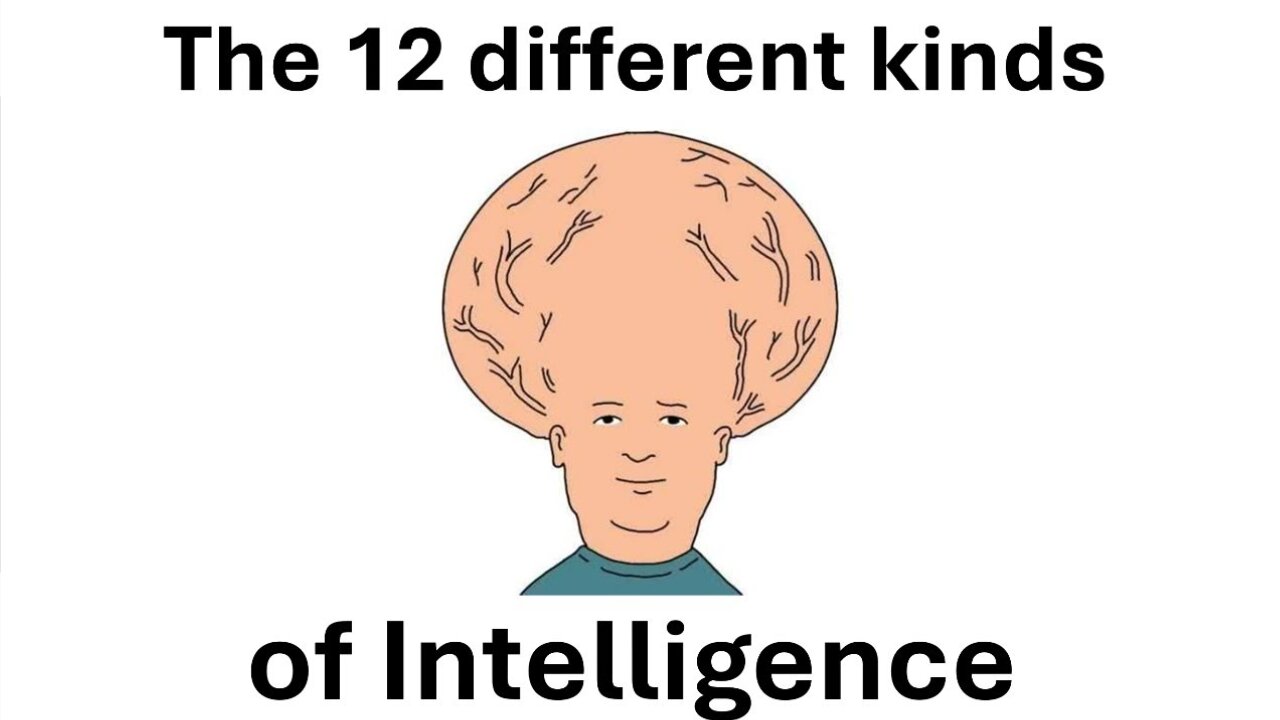 The 12 different kinds of intelligence