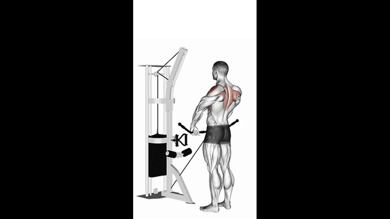 Cable Upright Row Exercise.