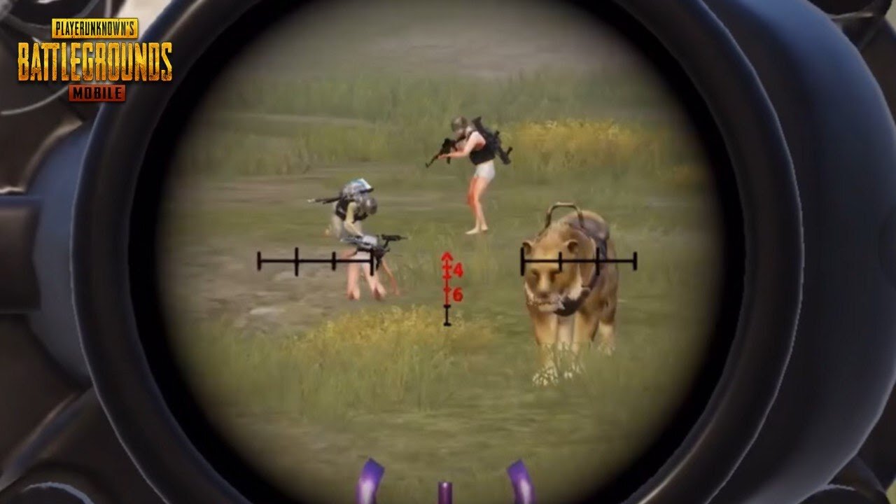 PUBG Mobile: Enemies distracted by their enemies - iPhone 14 - Nicolau Teixeira