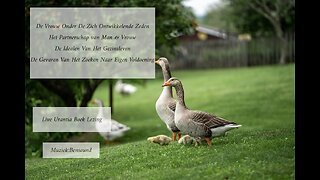 De Vrouw Onder Zich Ontwikkelende Zeden