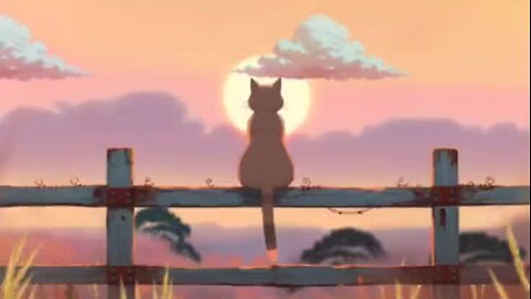 When the early morning becomes company