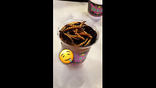 Café con insectos causa furor en un museo chino