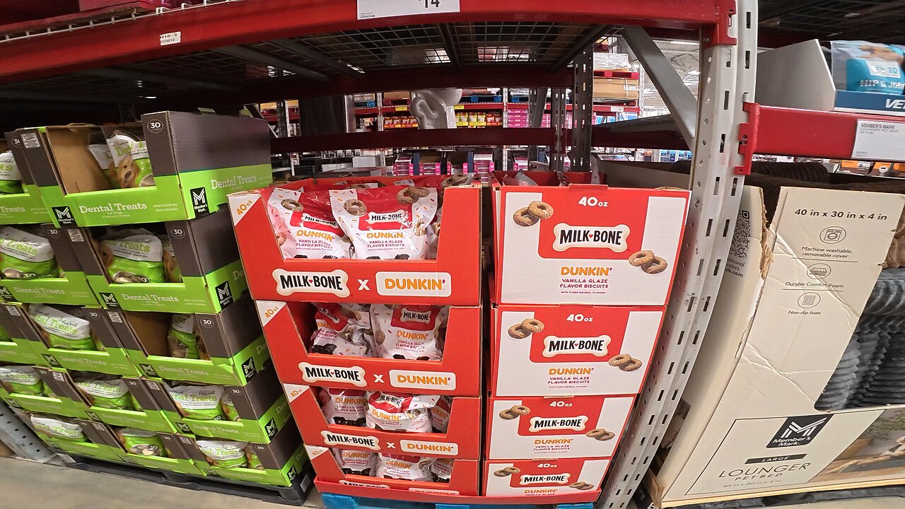 Dunkin’ for dogs