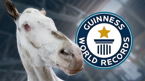 Blind Horse Endo Sets Three World Records - Guinness World Records