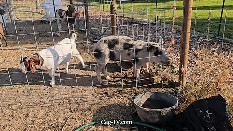 Graham Family Farm NW: 9:25 AM October 3 2025