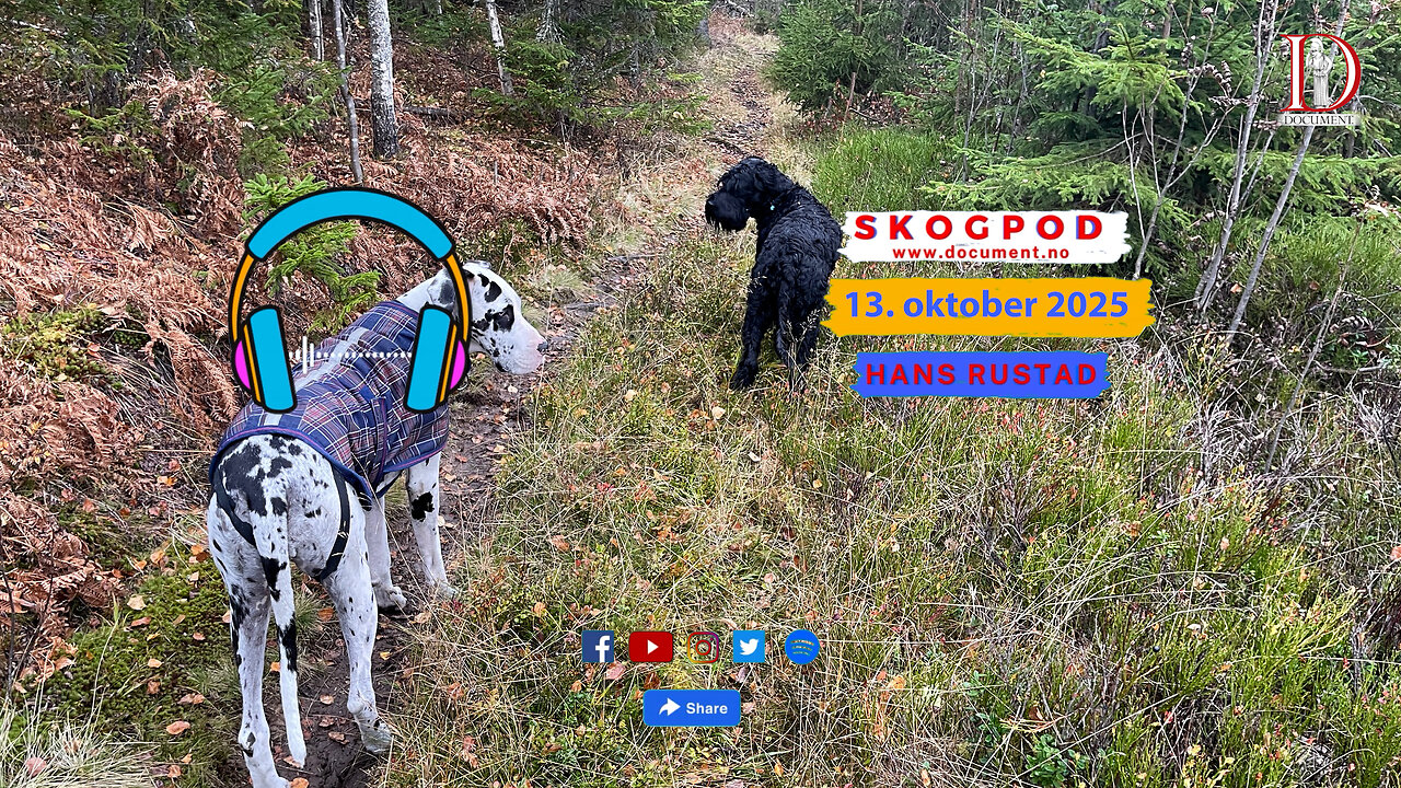 Skogpod 13. oktober 2025