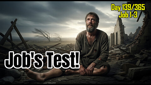 Day 139/365 - Blameless Job vs Satan | Job' Wife #job #bible