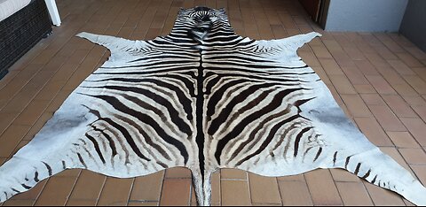Cape Burchell Zebra Skin