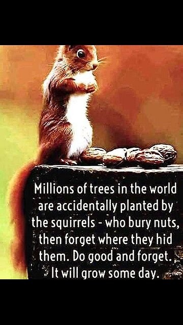 G'night fam You got this!