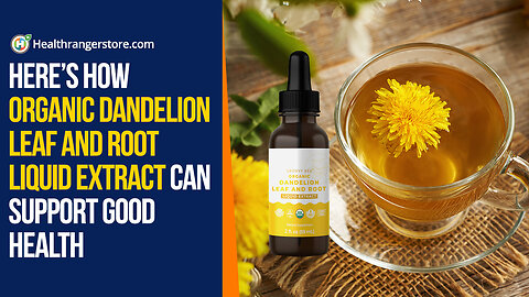 Here’s how Organic Dandelion Leaf and Root Liquid Extract can support good health