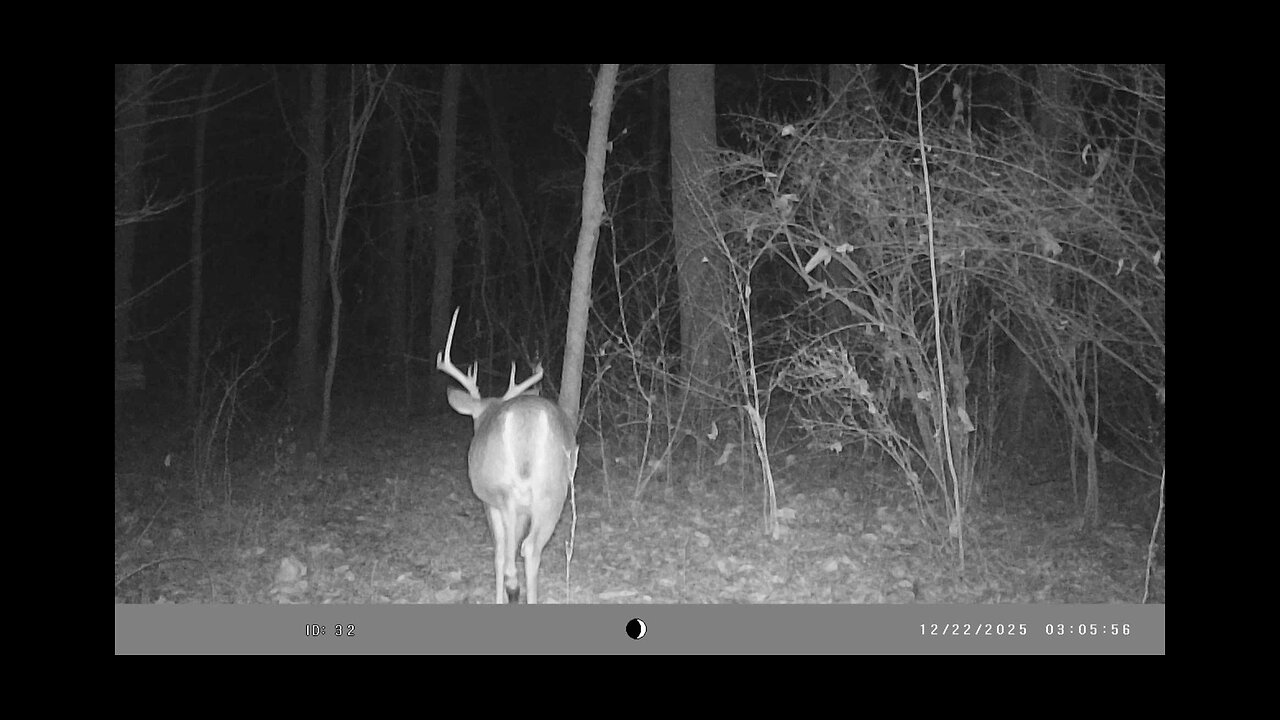 Trail Cam Tuesday, January 13th, 2026