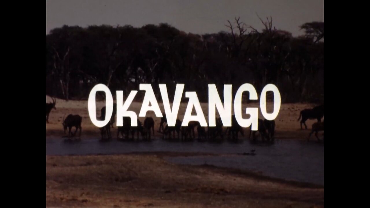 Mutual of Omaha's Wild Kingdom - "Okavango"