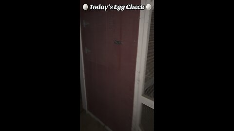 🥚 Today’s Egg Check! 🥚