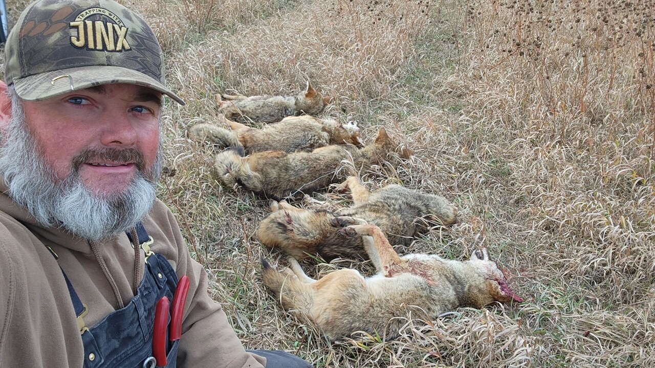 MY TRAPLINE CATCHES: 12 Coyotes & 2 Bobcats with SET REMAKE/STRATEGY | S5 Ep 13