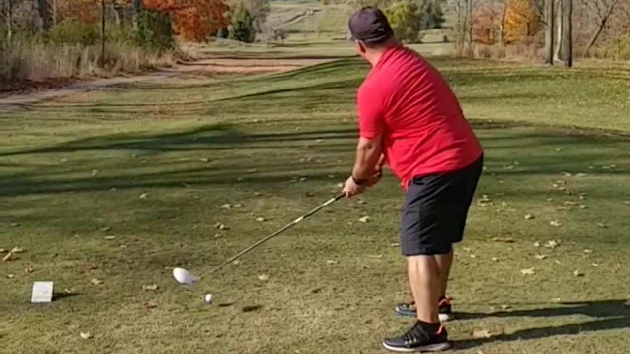 Golf Ball Boomerangs Off Nearby Tree